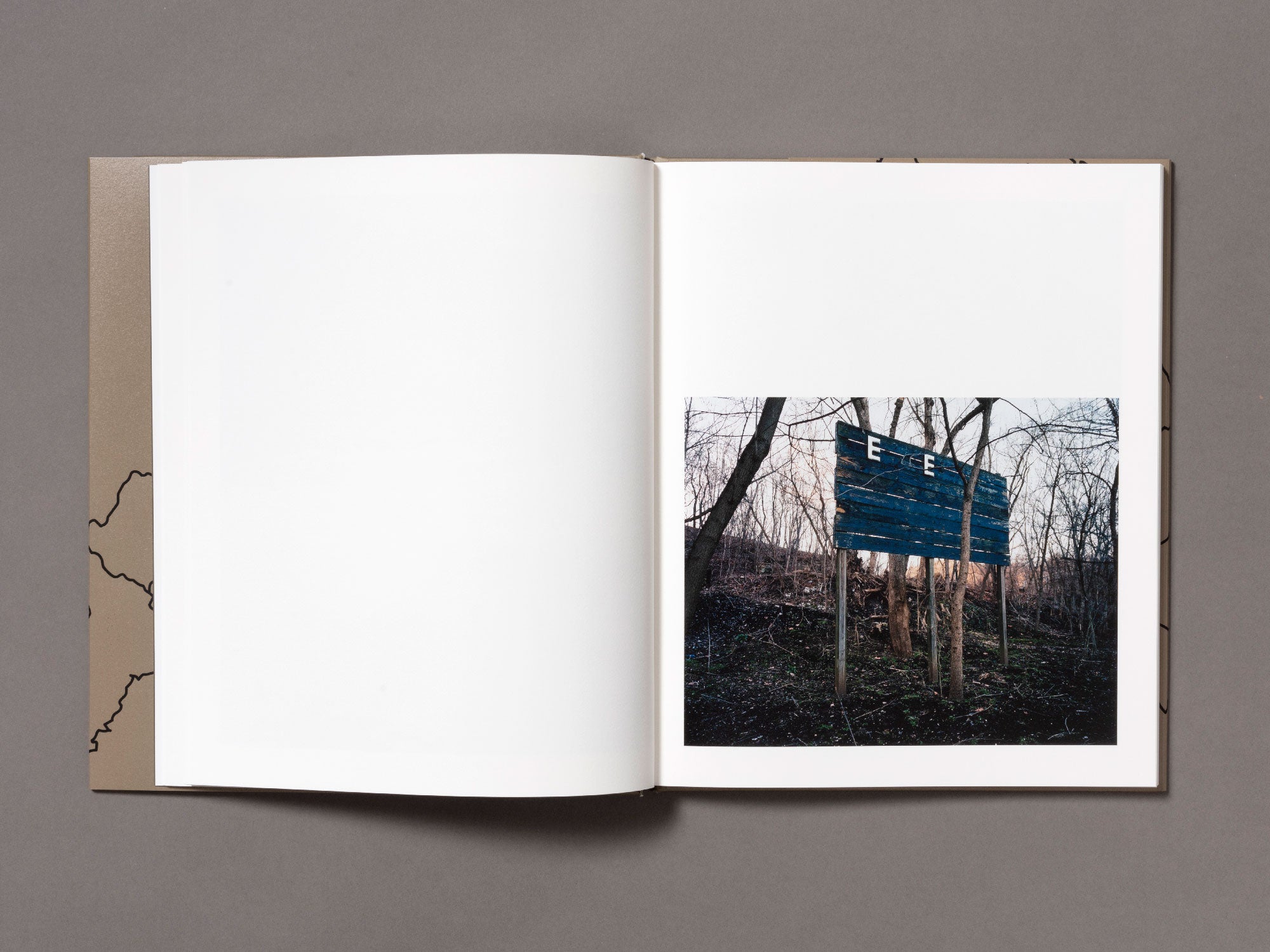 Laurel Mountain Laurel - Jake Reinhart