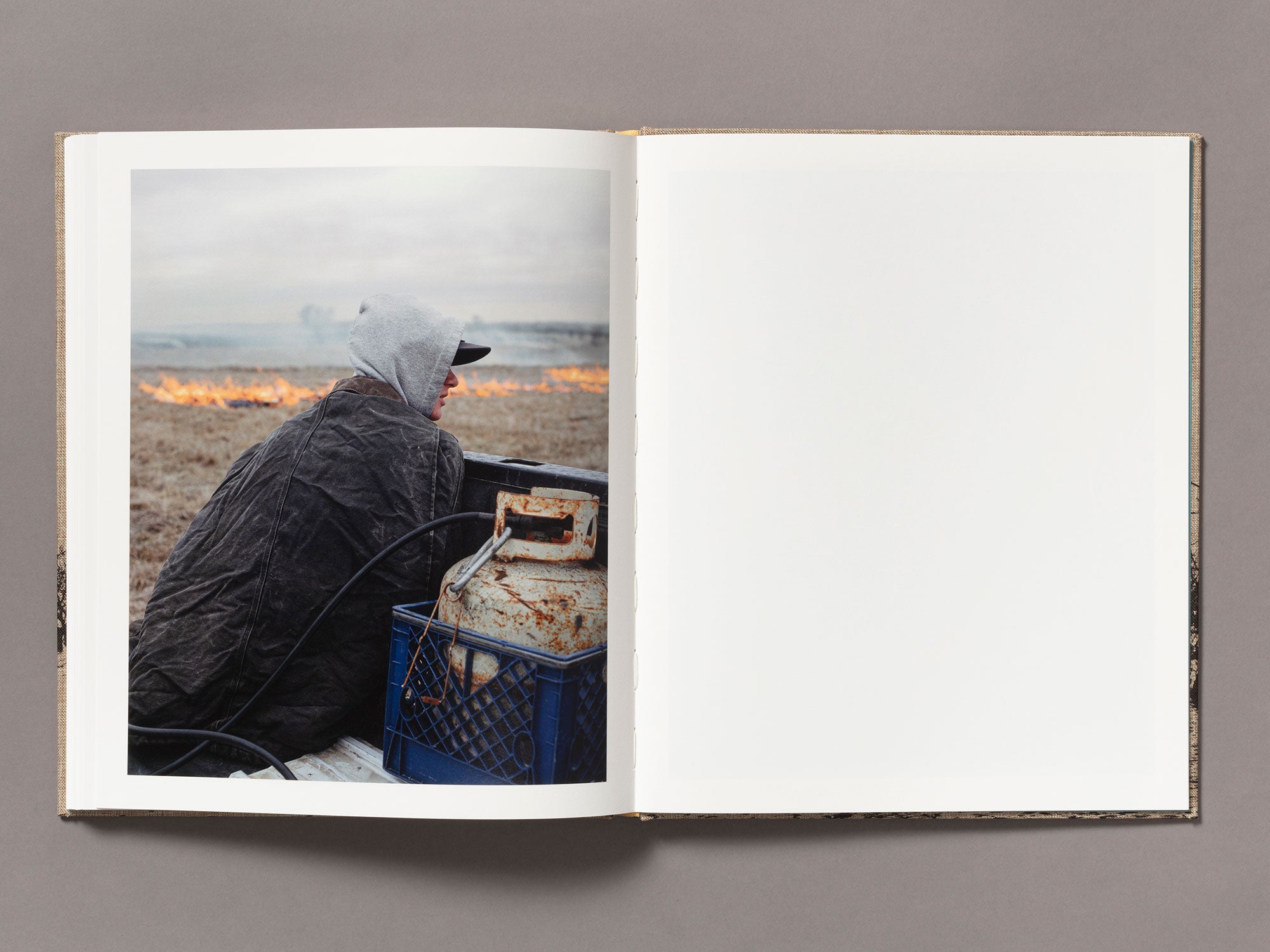Meadowlark - Ian Bates