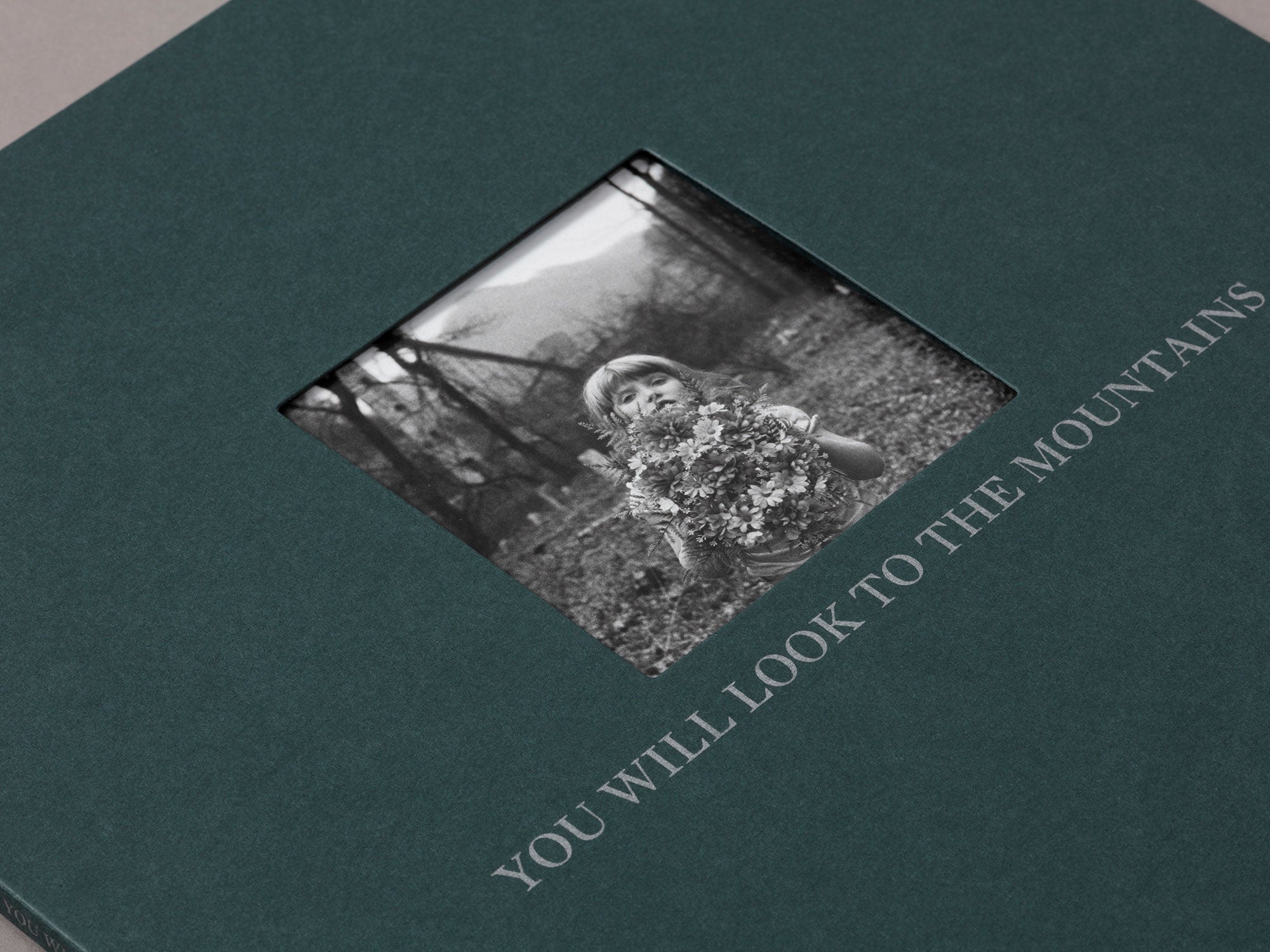 Special Edition / You Will Look To The Mountains - Anne Rearick