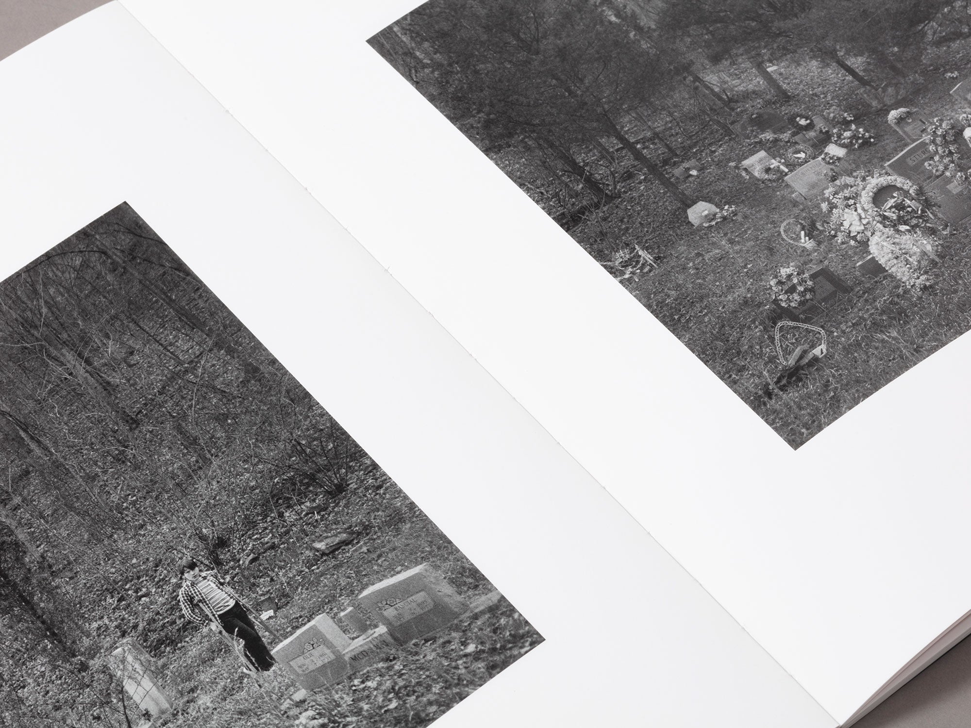 Special Edition / You Will Look To The Mountains - Anne Rearick