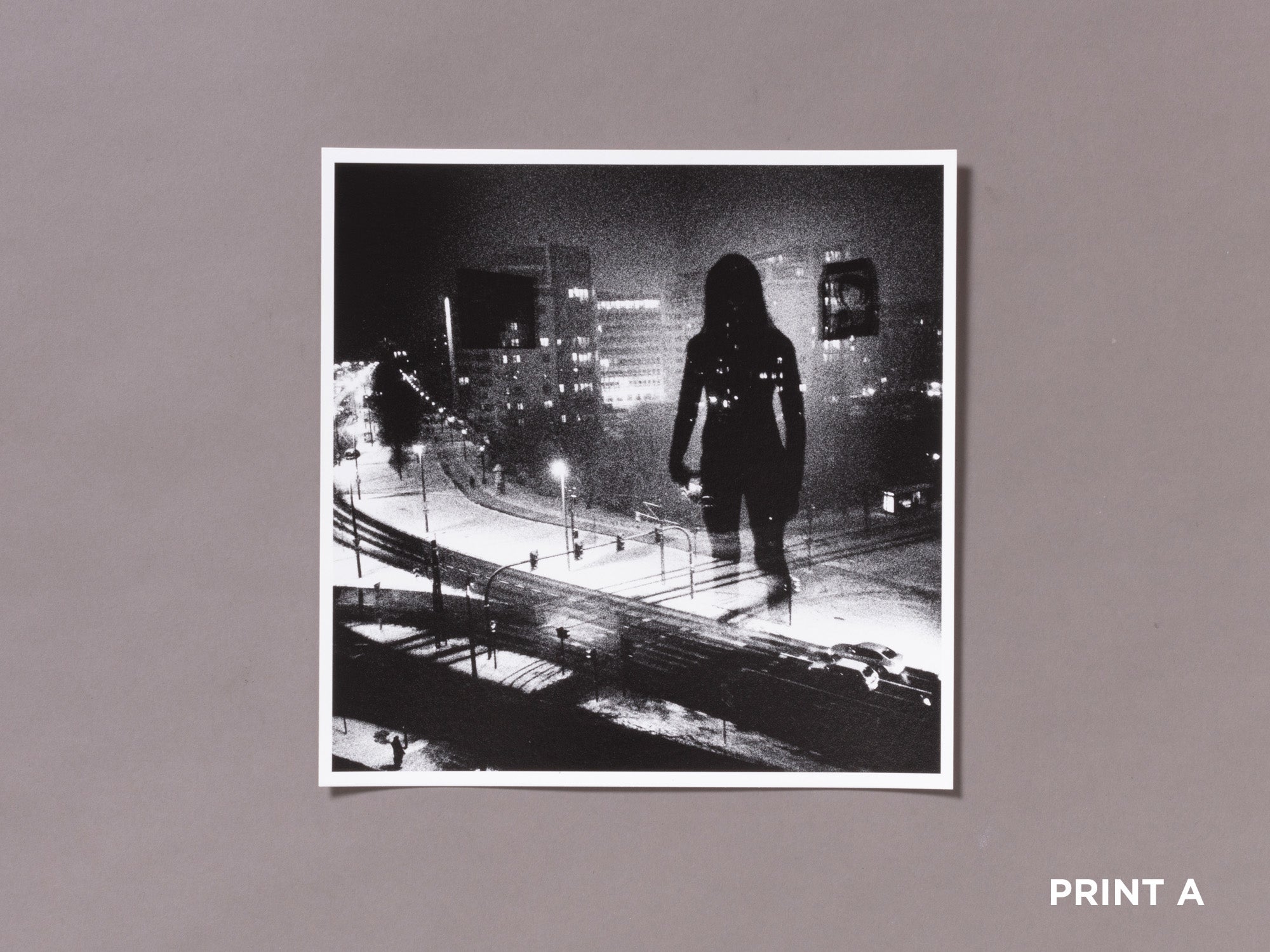 Special Edition / Pestka - Magdalena Wywrot