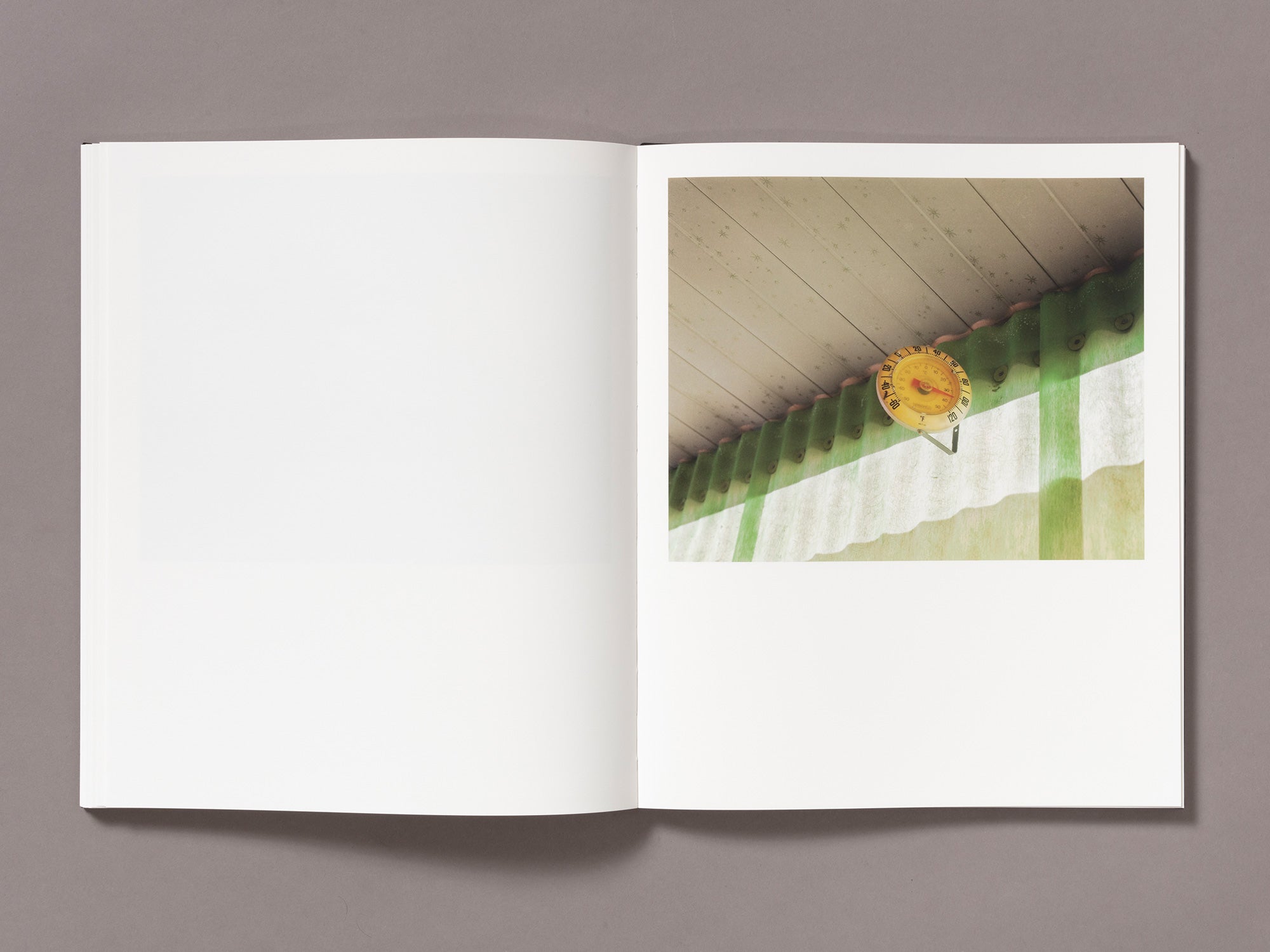 A Poor Sort of Memory - Tracy L Chandler
