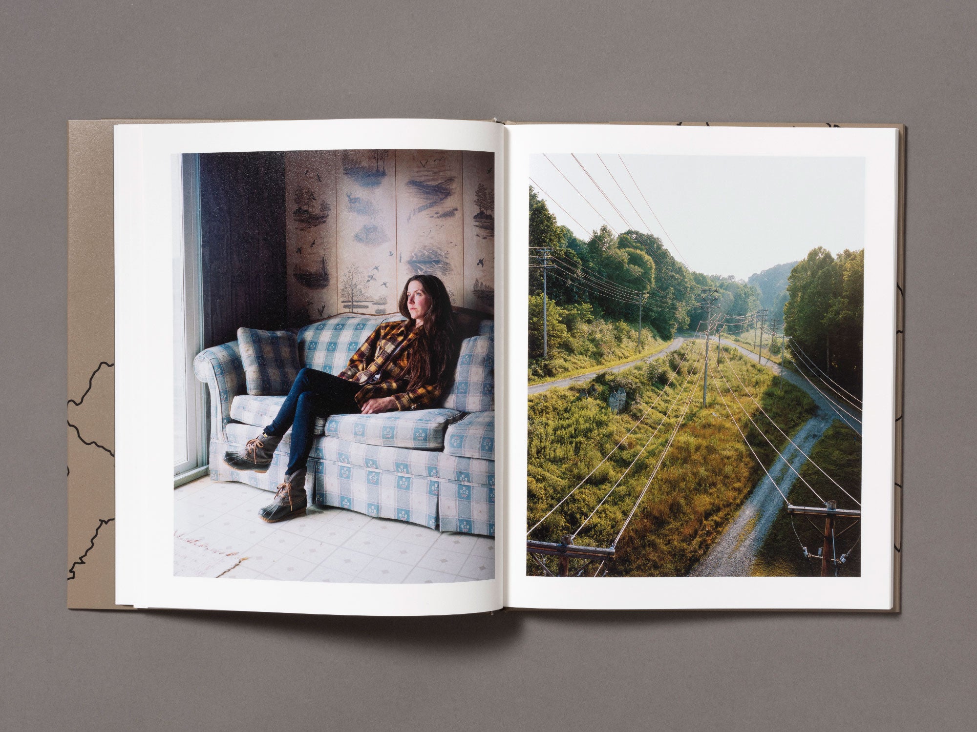 Laurel Mountain Laurel - Jake Reinhart